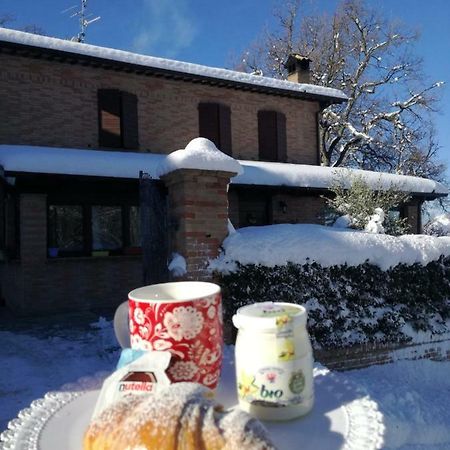 Il Castagneto Panzió Camerino Kültér fotó