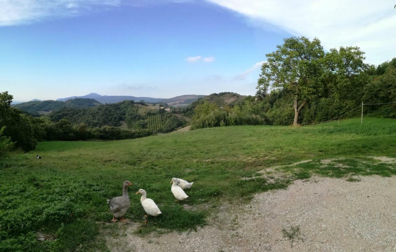 Il Castagneto Panzió Camerino Kültér fotó